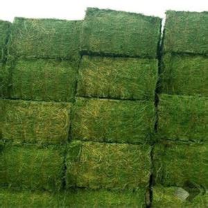 Alfalfa hay for sale craigslist. Things To Know About Alfalfa hay for sale craigslist. 